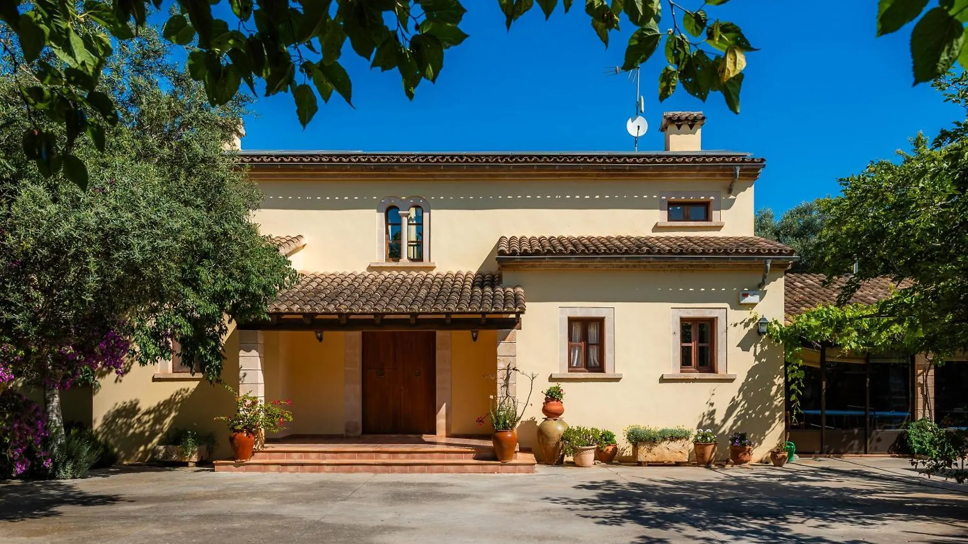 Verd Salvatge Muro Villa